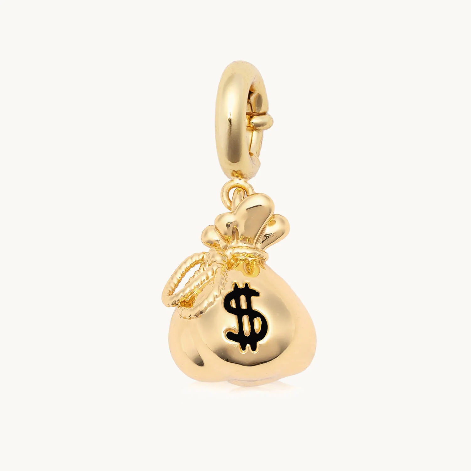 Custom Money Bag Charm