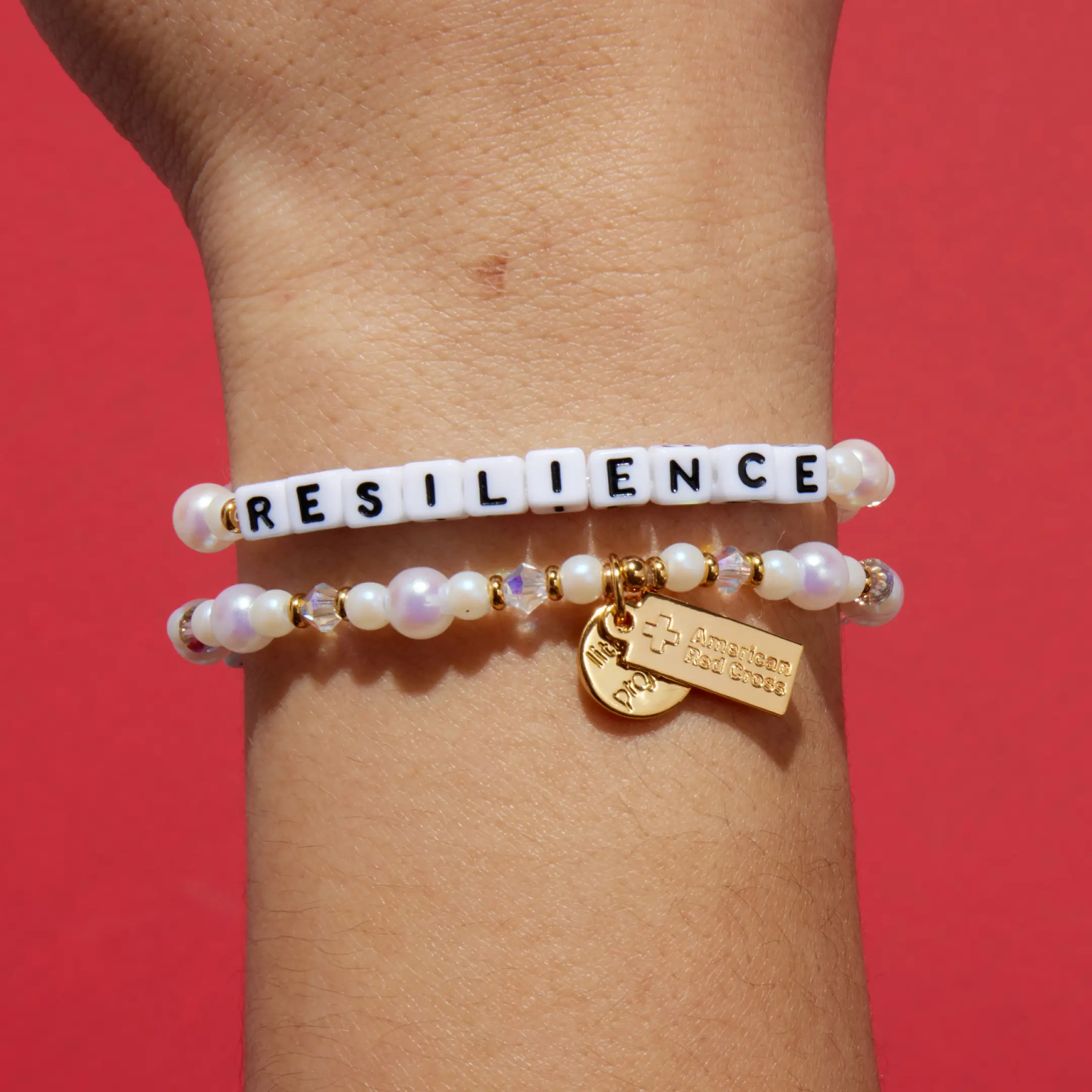 Resilience- Disaster Relief - Image 2