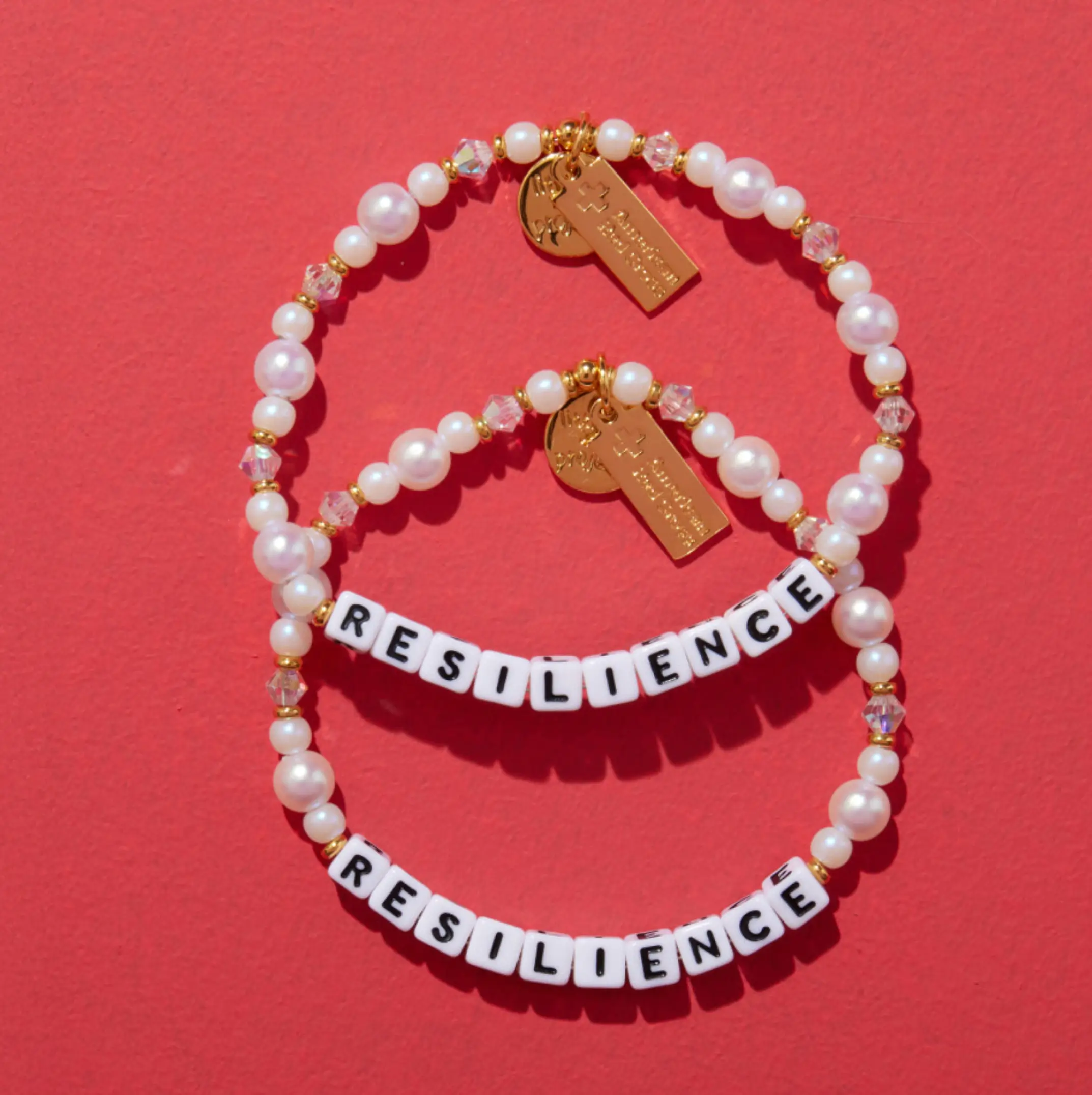 Resilience- Disaster Relief - Image 3