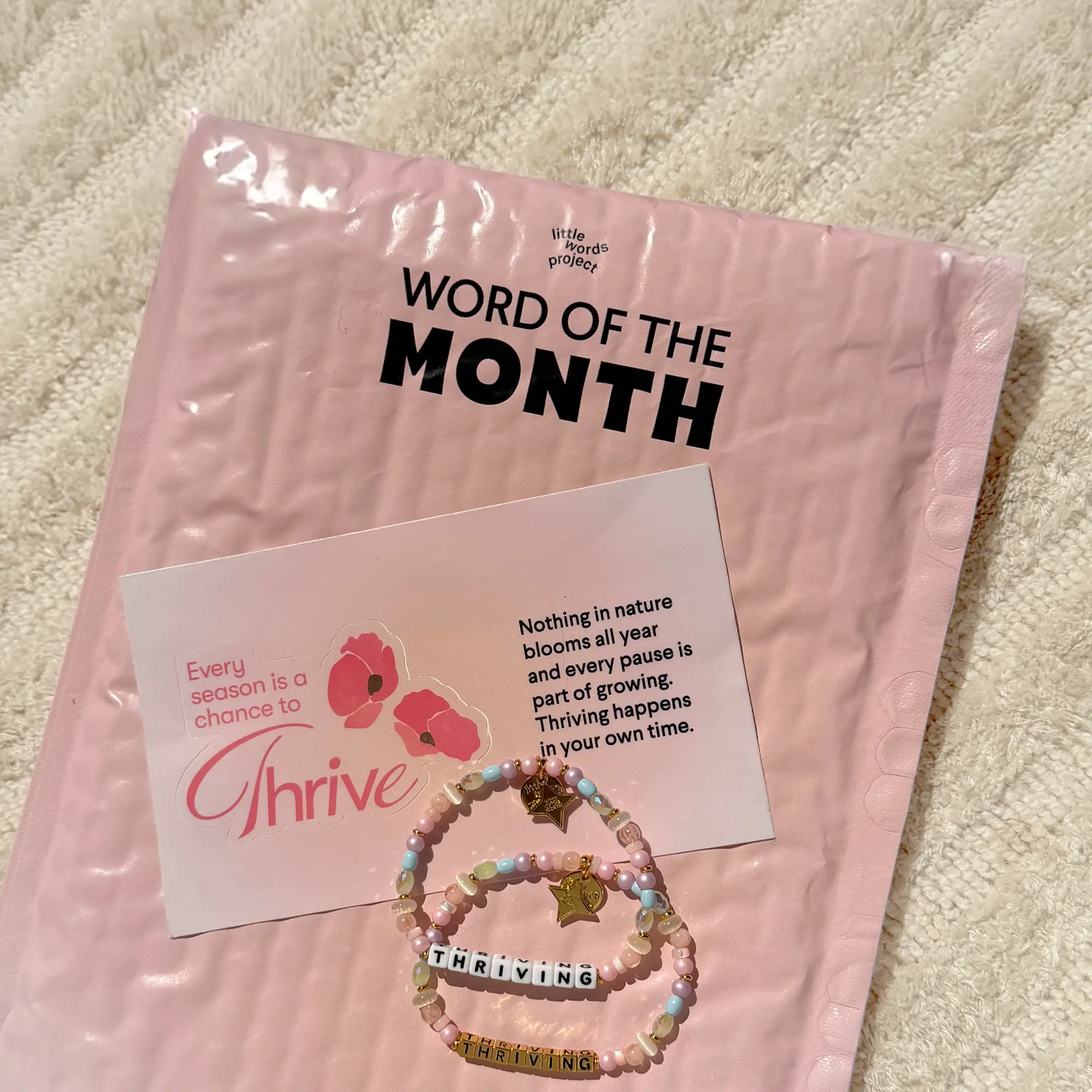 Word of the Month Subscription - Image 8